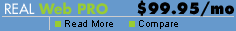 Real Web Pro
